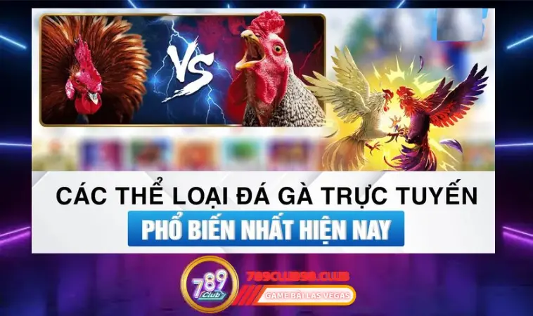 Các loại đá gà: đọc vị chi tiết chiến kê sung sức Các loại đá gà: đọc vị chi tiết chiến kê sung sức